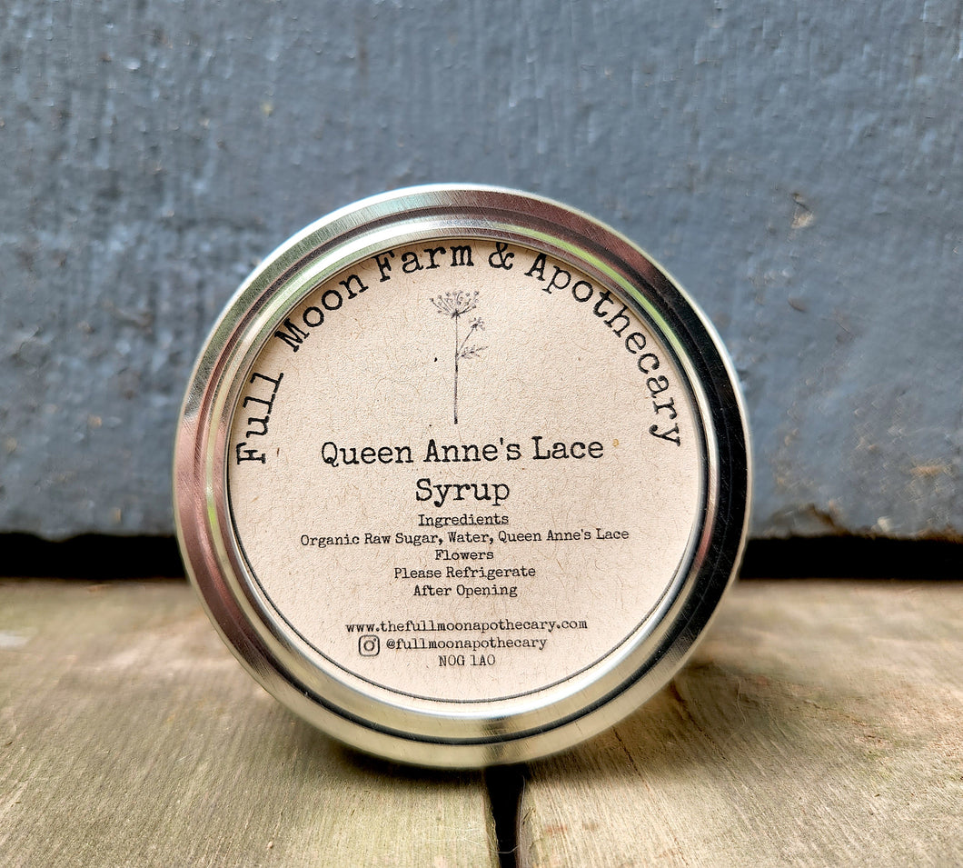 Queen Anne's Lace Herbal Syrup